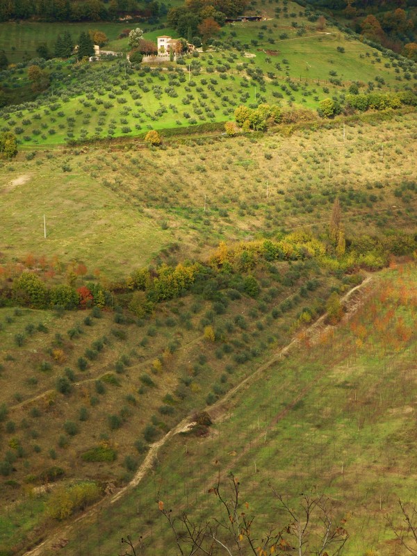 Sabina sublime-Dettagli d''autunno